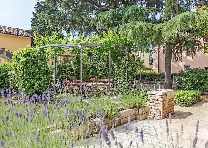 Lovely In With Wifi *